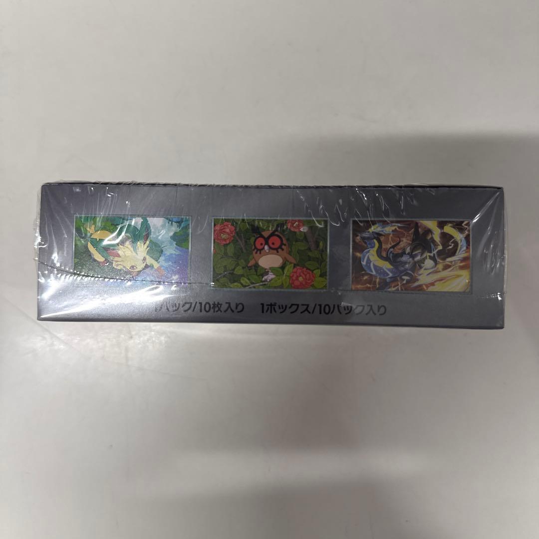 ポケモンカードゲーム テラスタルフェス EX 10枚入り￼1ボックス