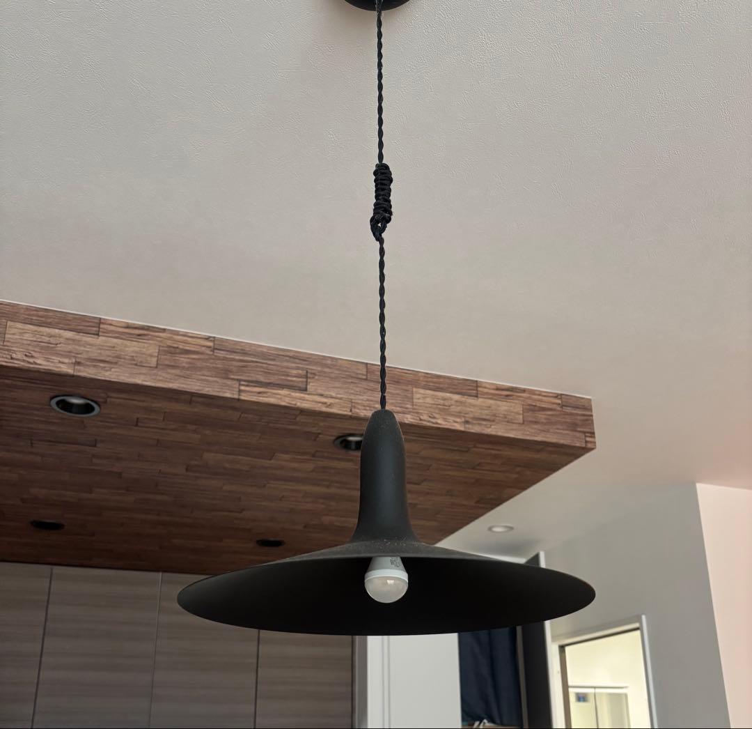 ARTWORKSTUDIO ブラック ペンダントライト