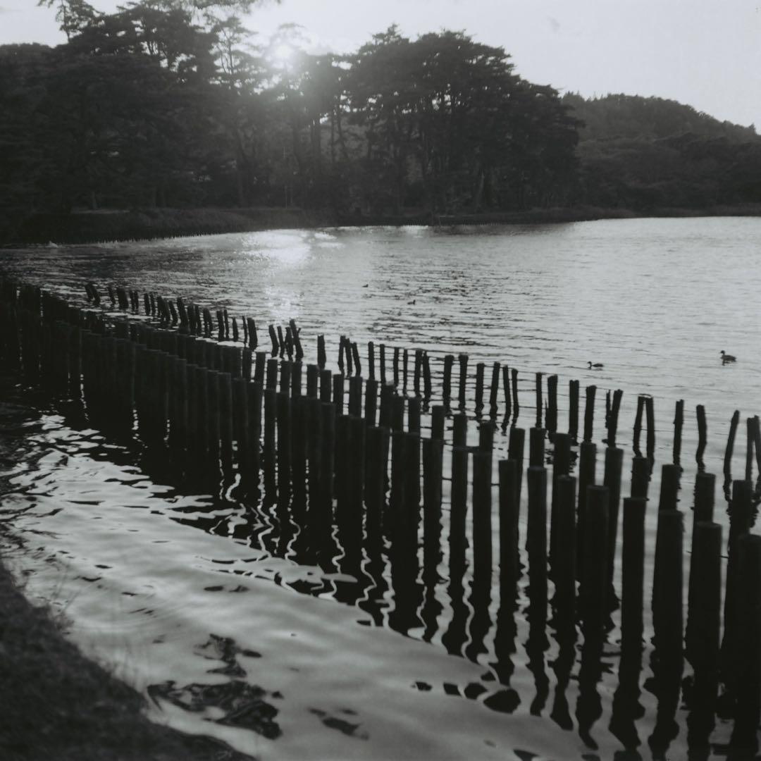 完動品◎Minolta AUTOCORD ミノルタ 二眼レフ フィルムカメラ