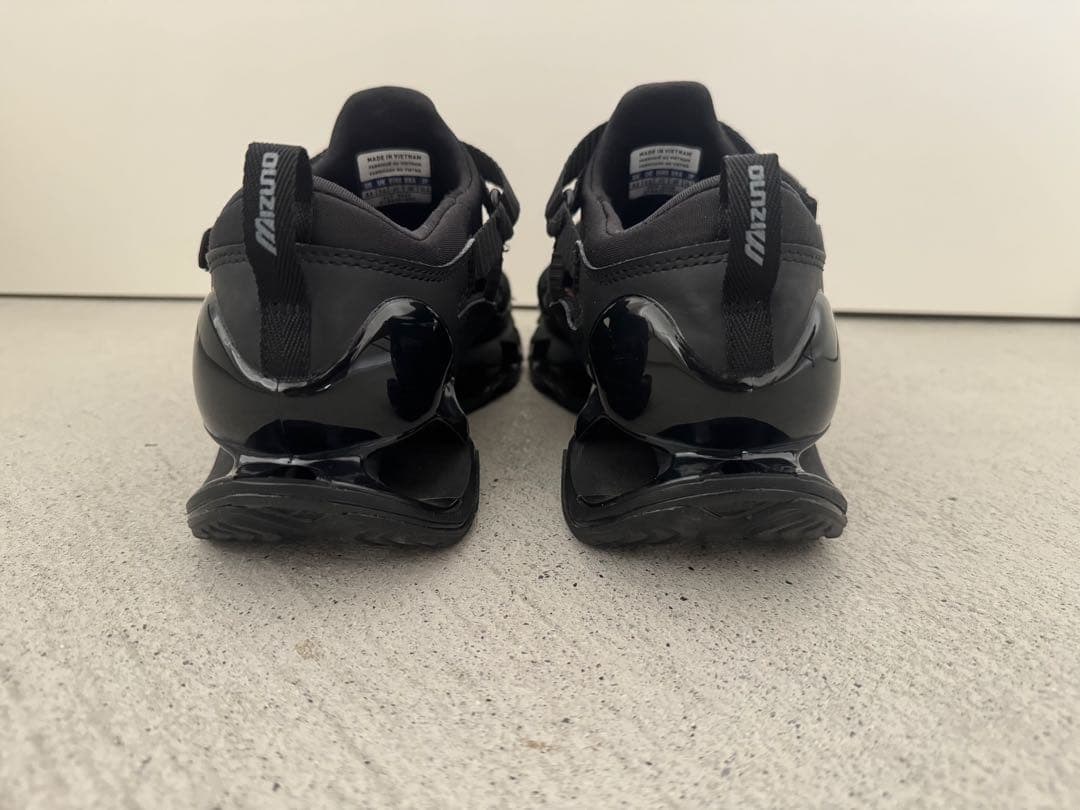 靴 Mizuno WAVE PROPHECY STRAP