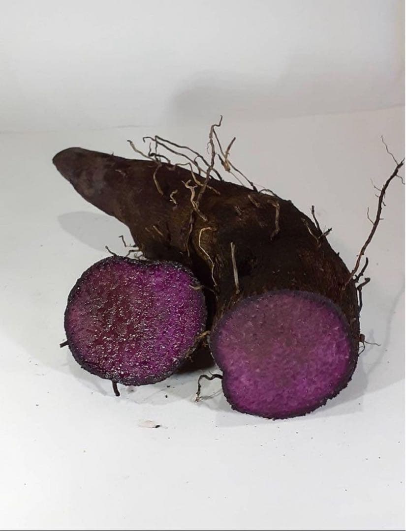 紫山芋　20kg