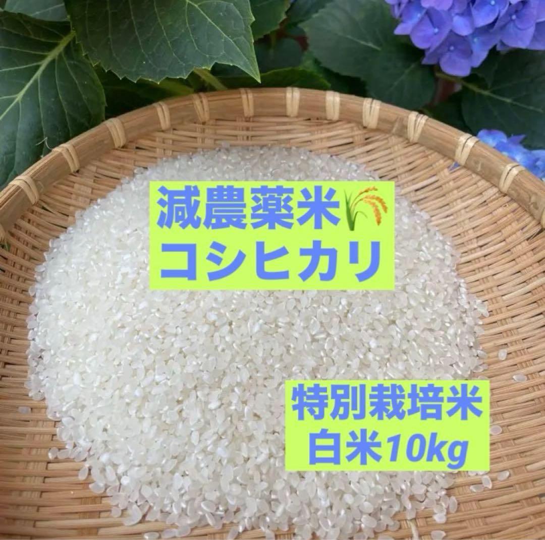 兵庫県産コシヒカリ 白米 10kg コウノトリ米 お米10キロ　②