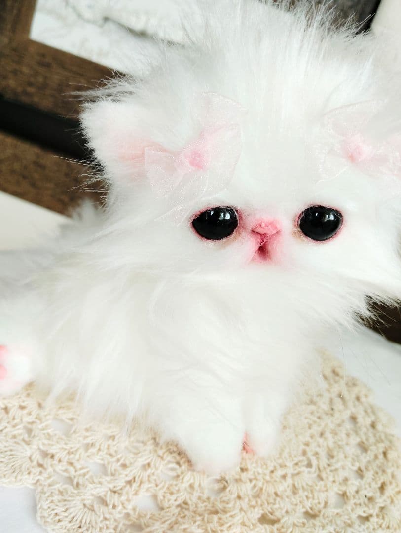 きゅるんオメメ♡子猫のレモンちゃん♡エキゾチック♡アートドール♡ぬいぐるみ♡