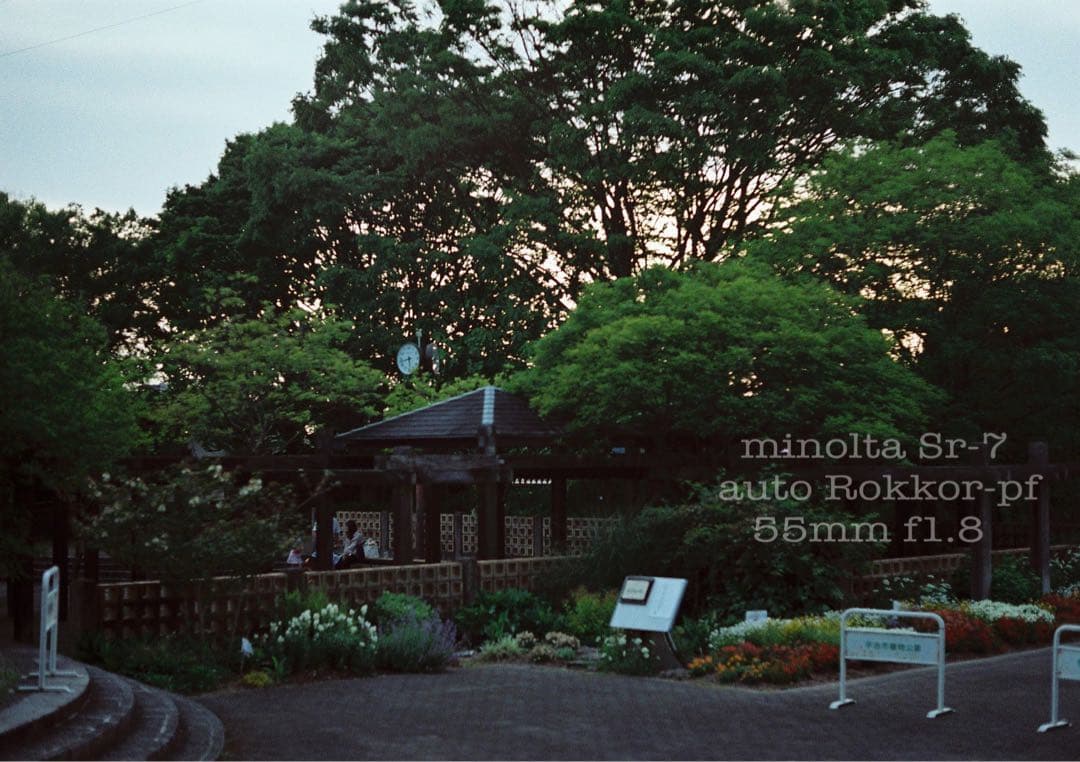 ★作例必見！完動品＊美品＊初期保証★minolta sr-7&緑のロッコール