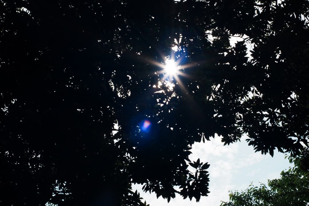 【美品】動作◎ ミノルタ MD ROKKOR 45mm F2 937