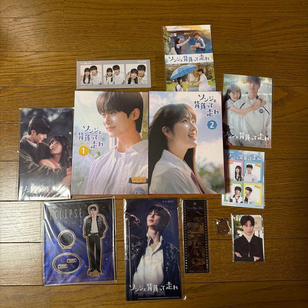 ソンジェ背負って走れDVD 初回限定盤