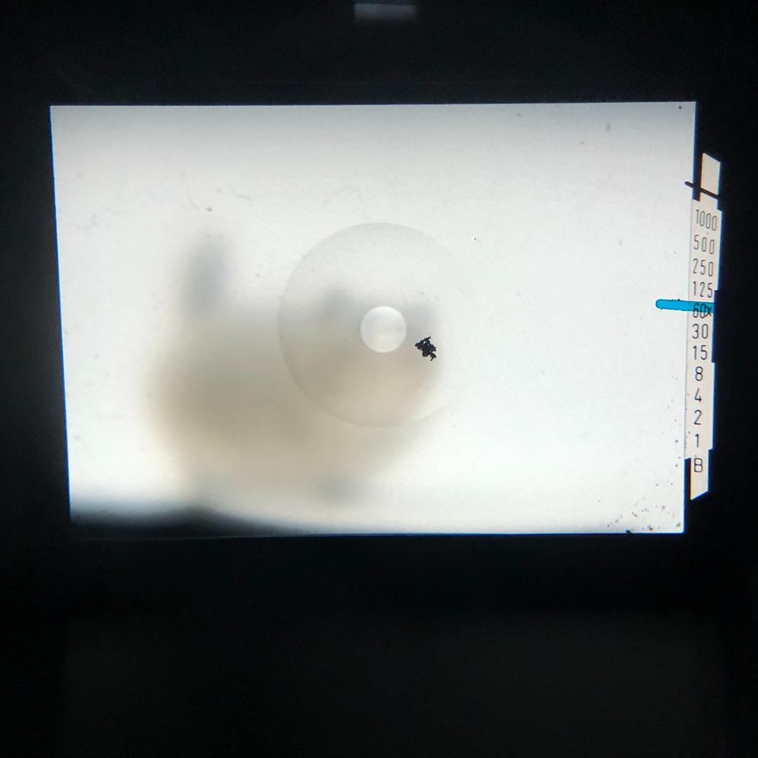 【C6607】分解清掃済み！ PENTAX KX + SMC 55mm F1.8