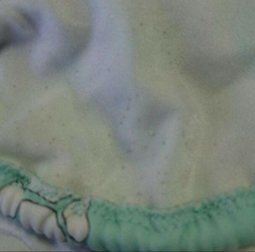 エミリオプッチ　ビキニ