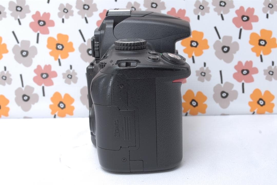 ❤Nikon D5000❤イルミネーション撮影❤スマホ転送OK❤動画撮影OK❤