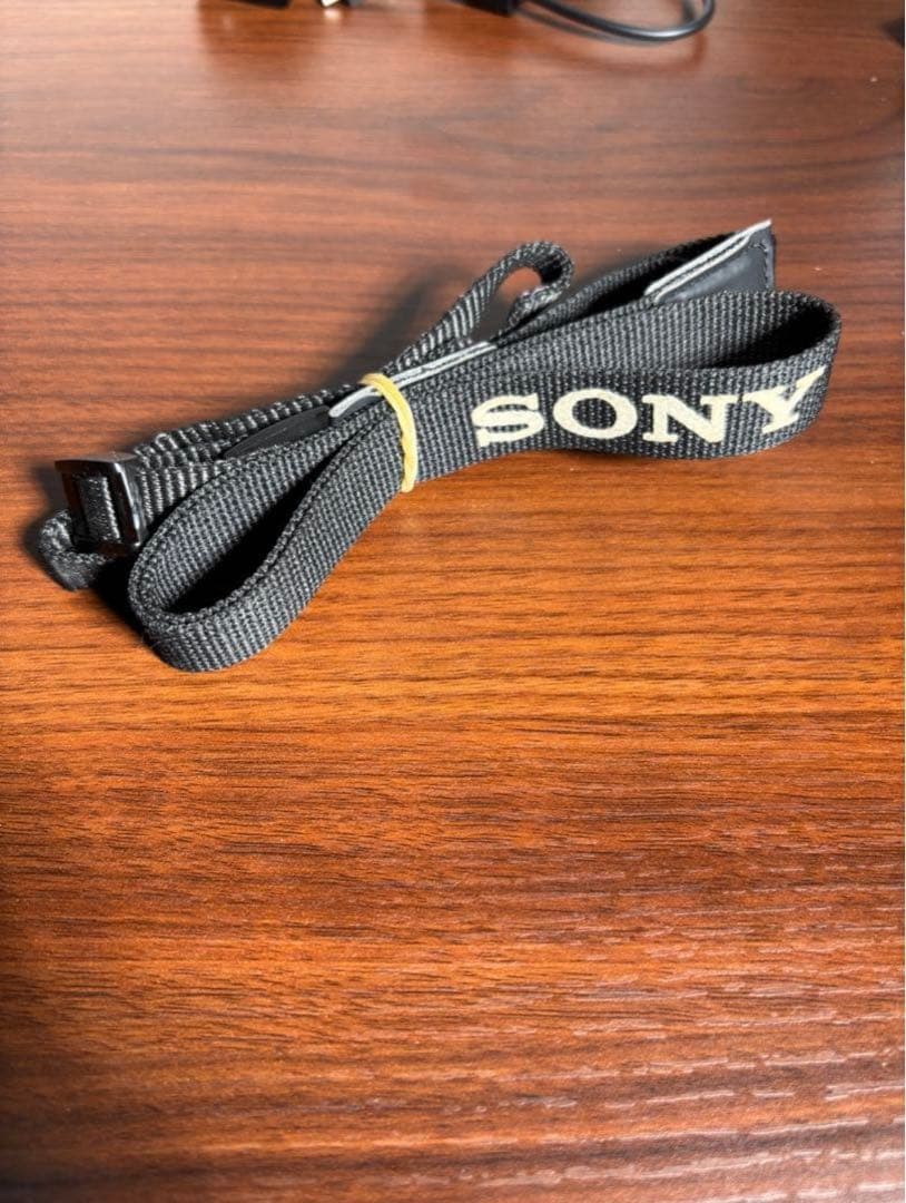 SONY α6100 標準ズームレンズセットSDカード・充電器付