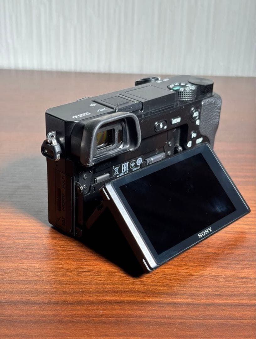 SONY α6100 標準ズームレンズセットSDカード・充電器付