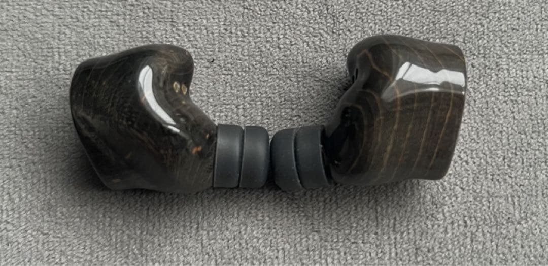 イヤホン Noble Audio Fokus Prestige Black