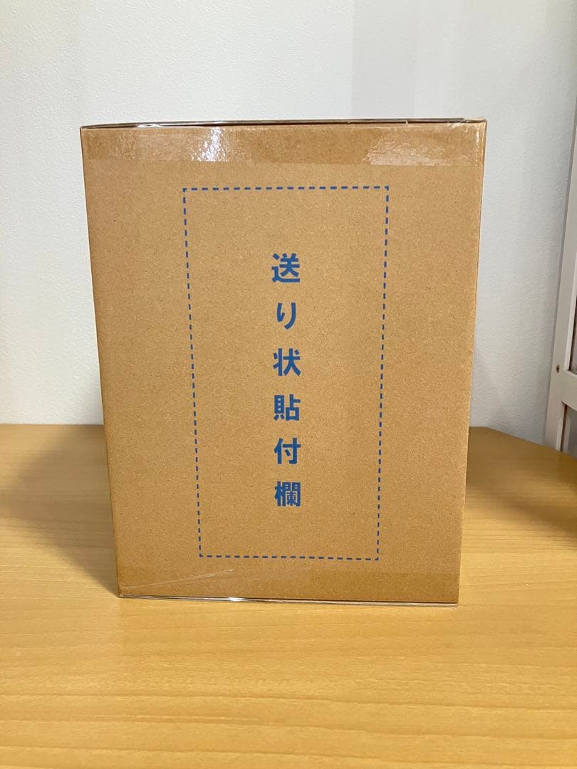 【輸送箱未開封】POP Evolutionary History ステューシー