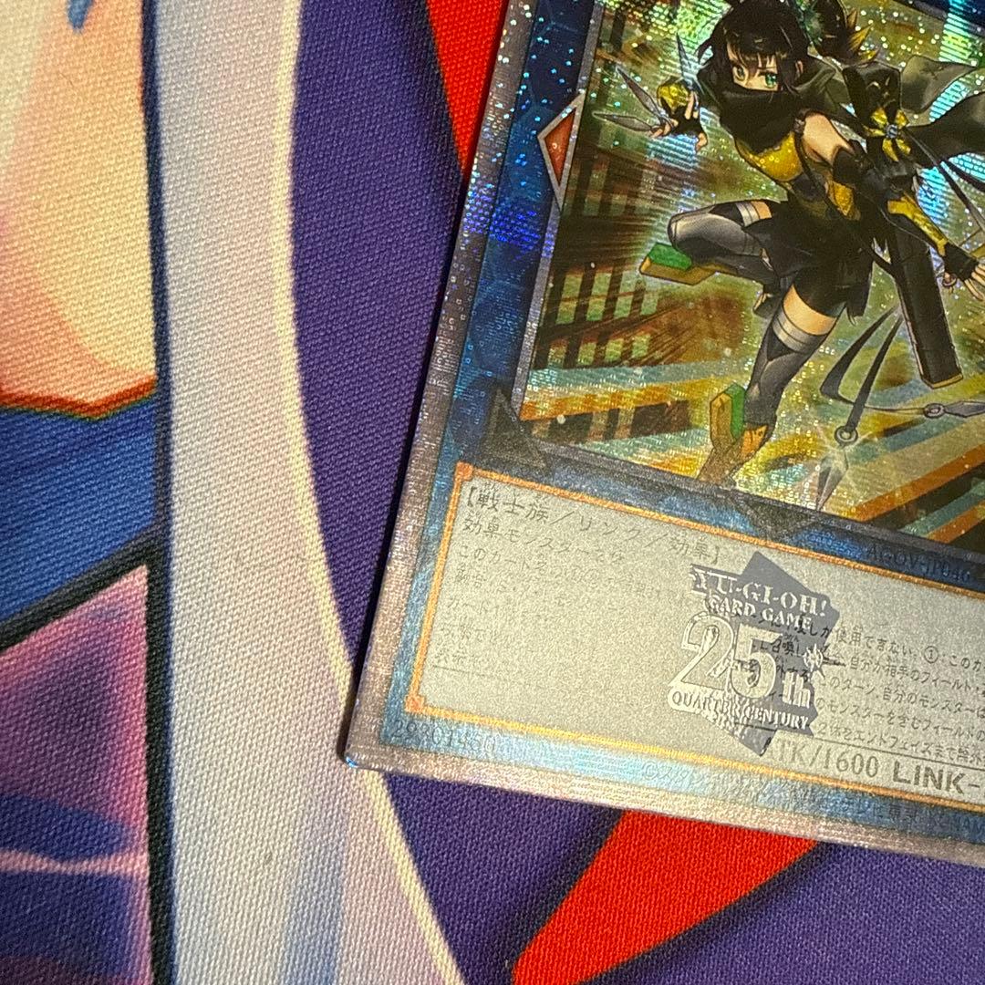 spリトルナイト クオシク