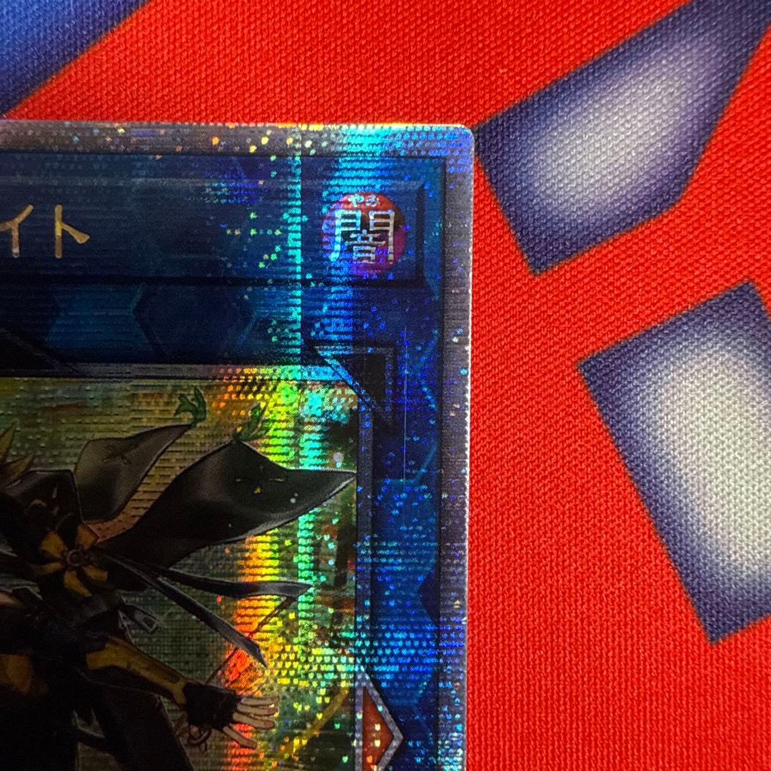 spリトルナイト クオシク