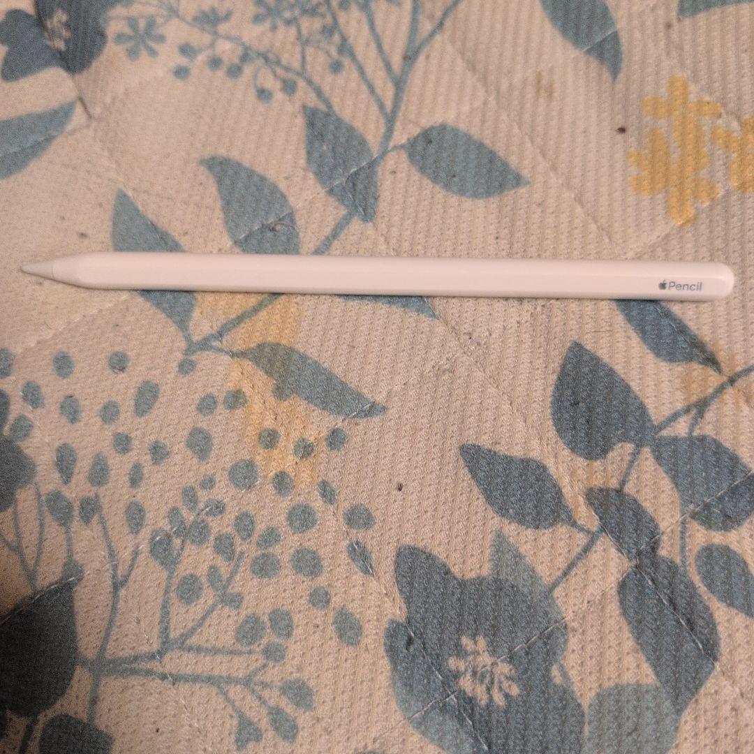 a*1様 美品iPad Pro　m1 第三世代256ギガ+ApplePencil