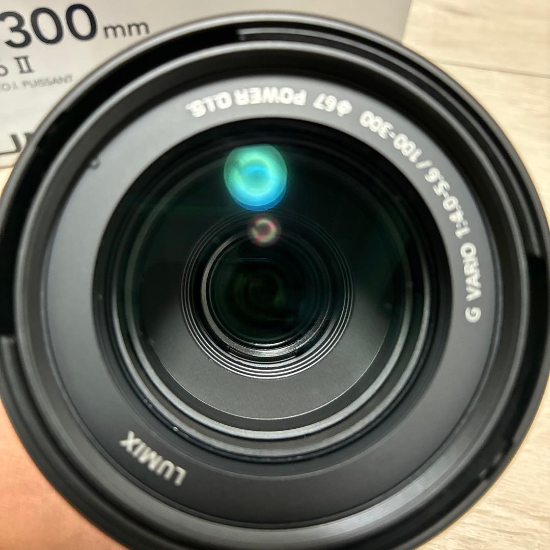 極美品 Lumix G VARIO 100-300mm/F4.0-5.6 II