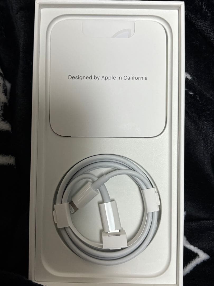 Apple iPhone 12 ホワイト 本体　256GB docomo