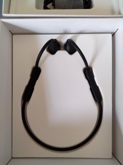 骨伝導集音器　20%OFF