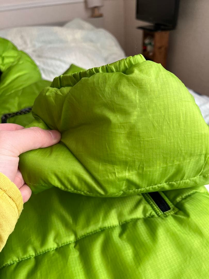 patagonia / DAS PARKA (ゲッコーグリーン）Mサイズ