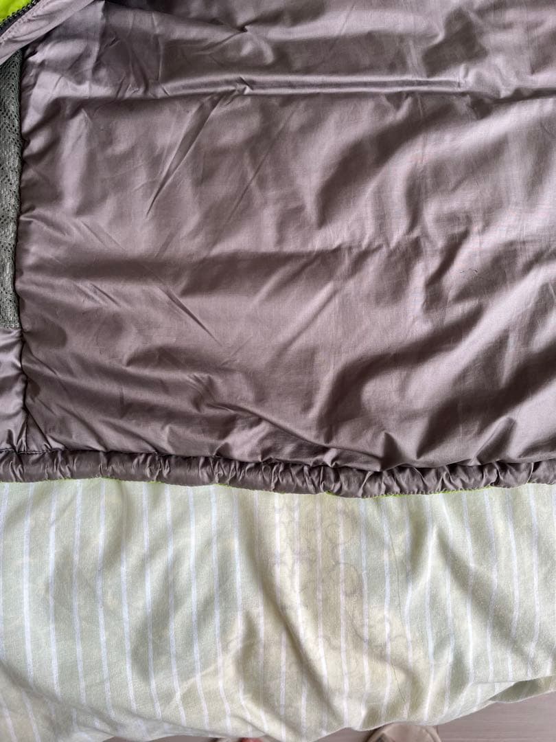 patagonia / DAS PARKA (ゲッコーグリーン）Mサイズ