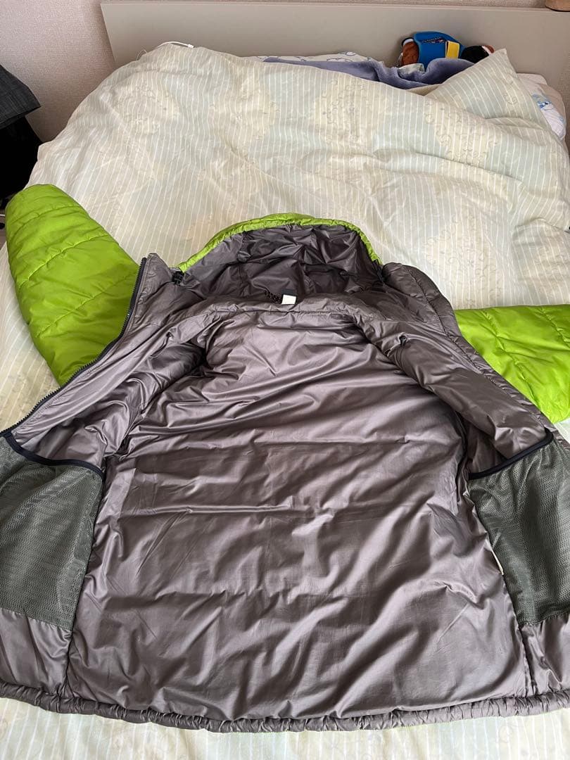 patagonia / DAS PARKA (ゲッコーグリーン）Mサイズ