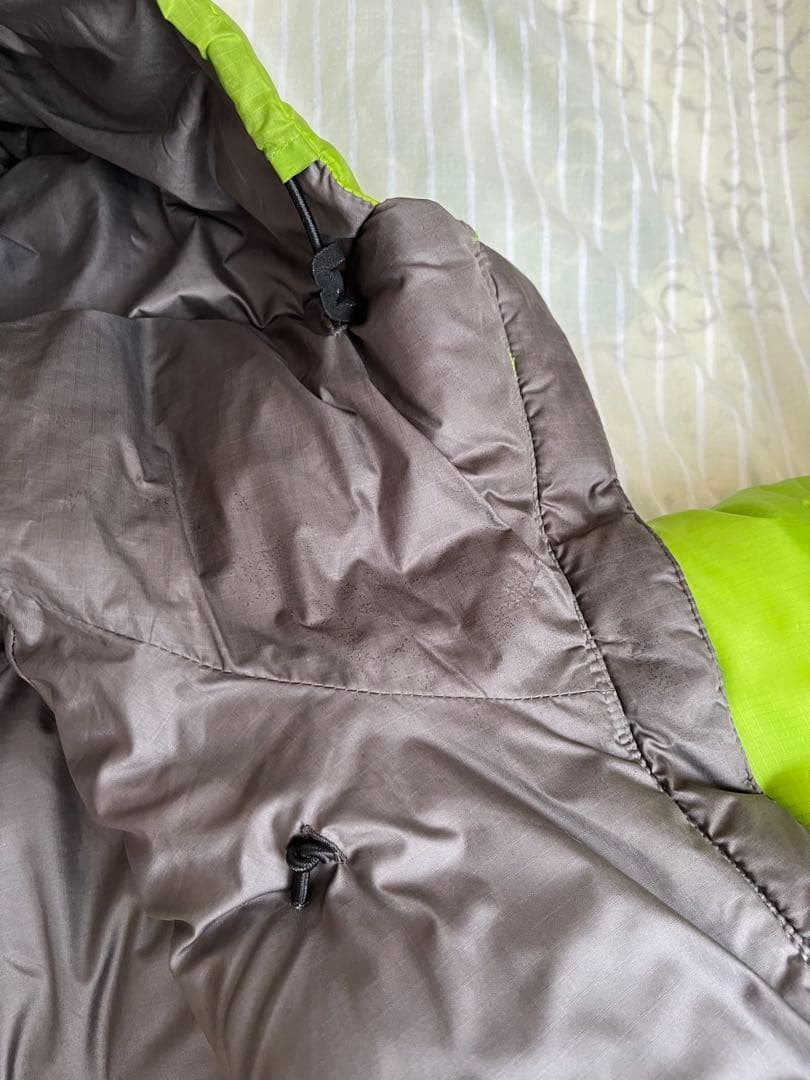 patagonia / DAS PARKA (ゲッコーグリーン）Mサイズ