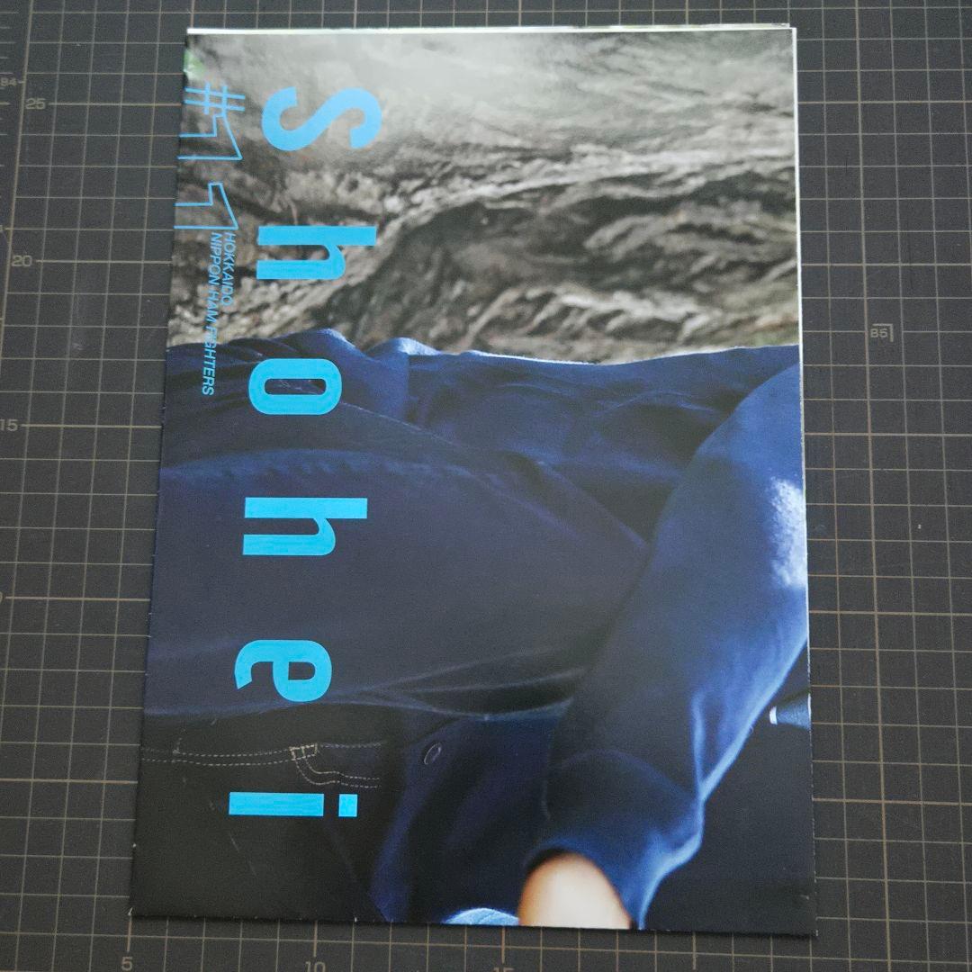 【美品】ベースボール・マガジン社　スポーツアルバムNo.47 大谷翔平