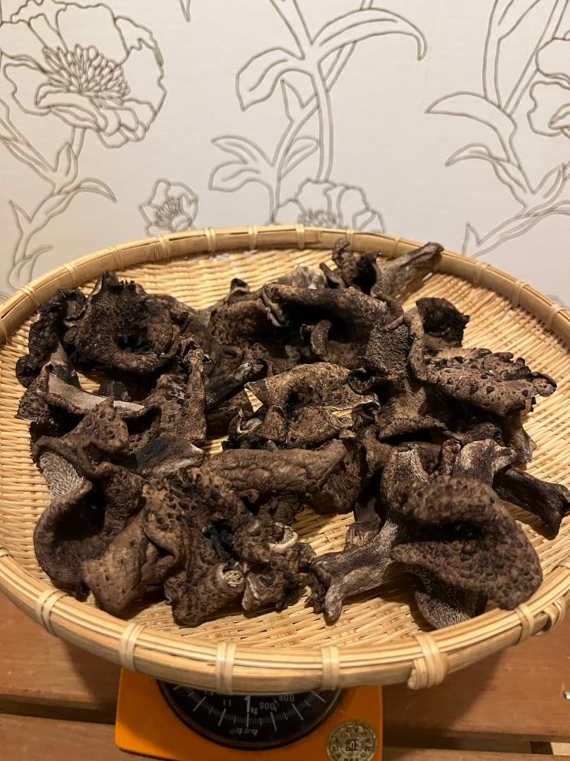 岩手県産 乾燥 香茸 100g 2025年採取 ①