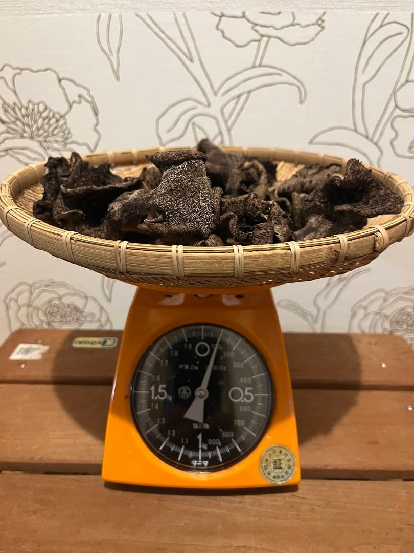 岩手県産 乾燥 香茸 100g 2025年採取 ①