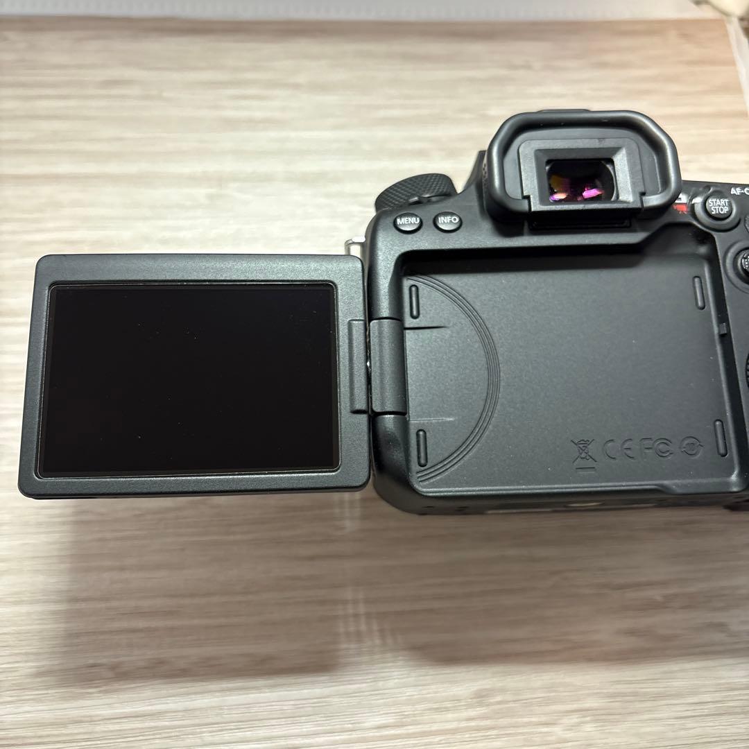 Canon EOS 90D 本体 バッテリー・チャージャー付き