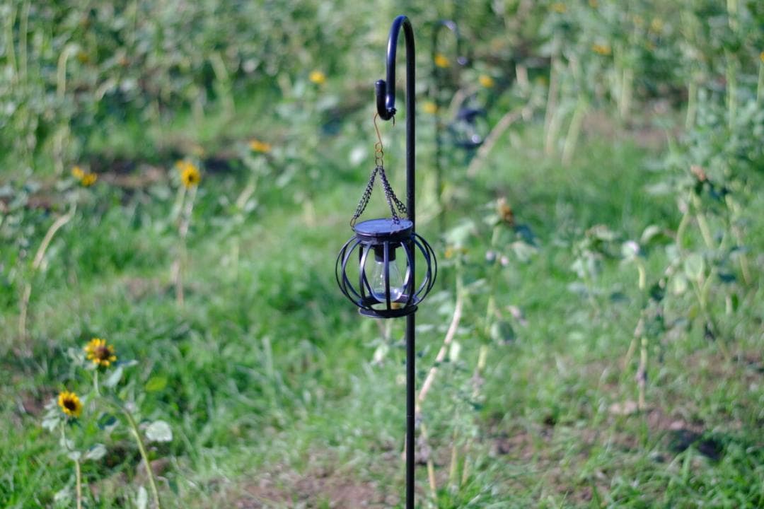 ★希少！超美品★MAMIYA 645 70mm F2.8 中判 M42変換付き