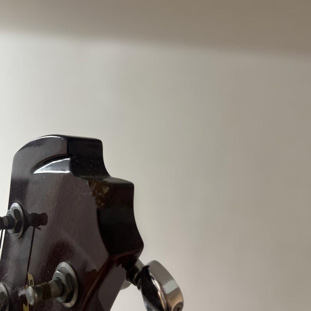 James アコースティックギター JD400/TSB