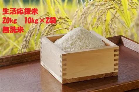 生活応援米 無洗米 20kg (10kg×2袋)