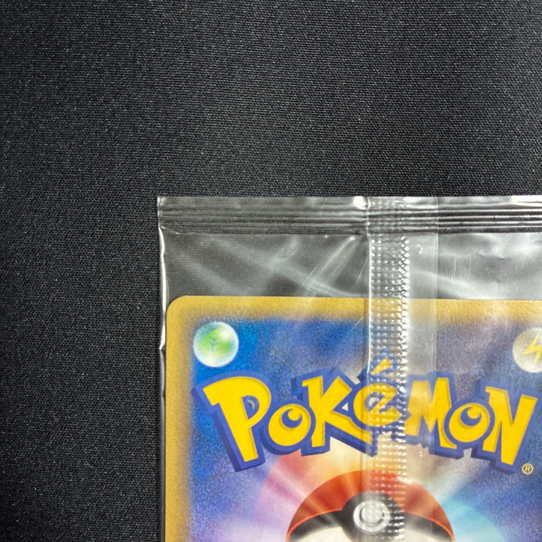 ポケパークのアチャモ　ポケモンカード　ポケパーク　プロモ　ポケカ