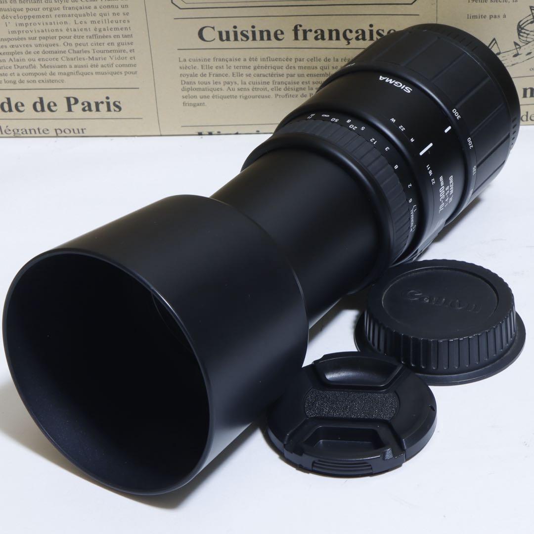 ◇大迫力300mm超望遠◇ Sigma 70-300 for Canon