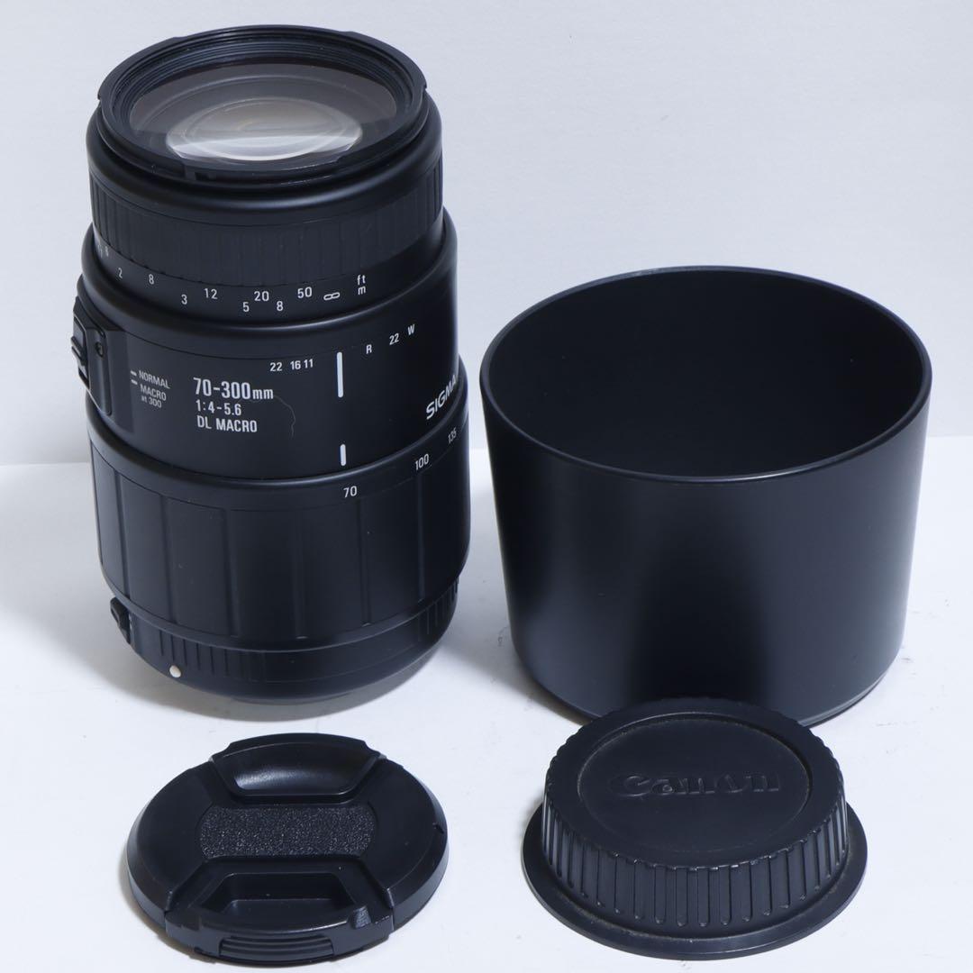 ◇大迫力300mm超望遠◇ Sigma 70-300 for Canon