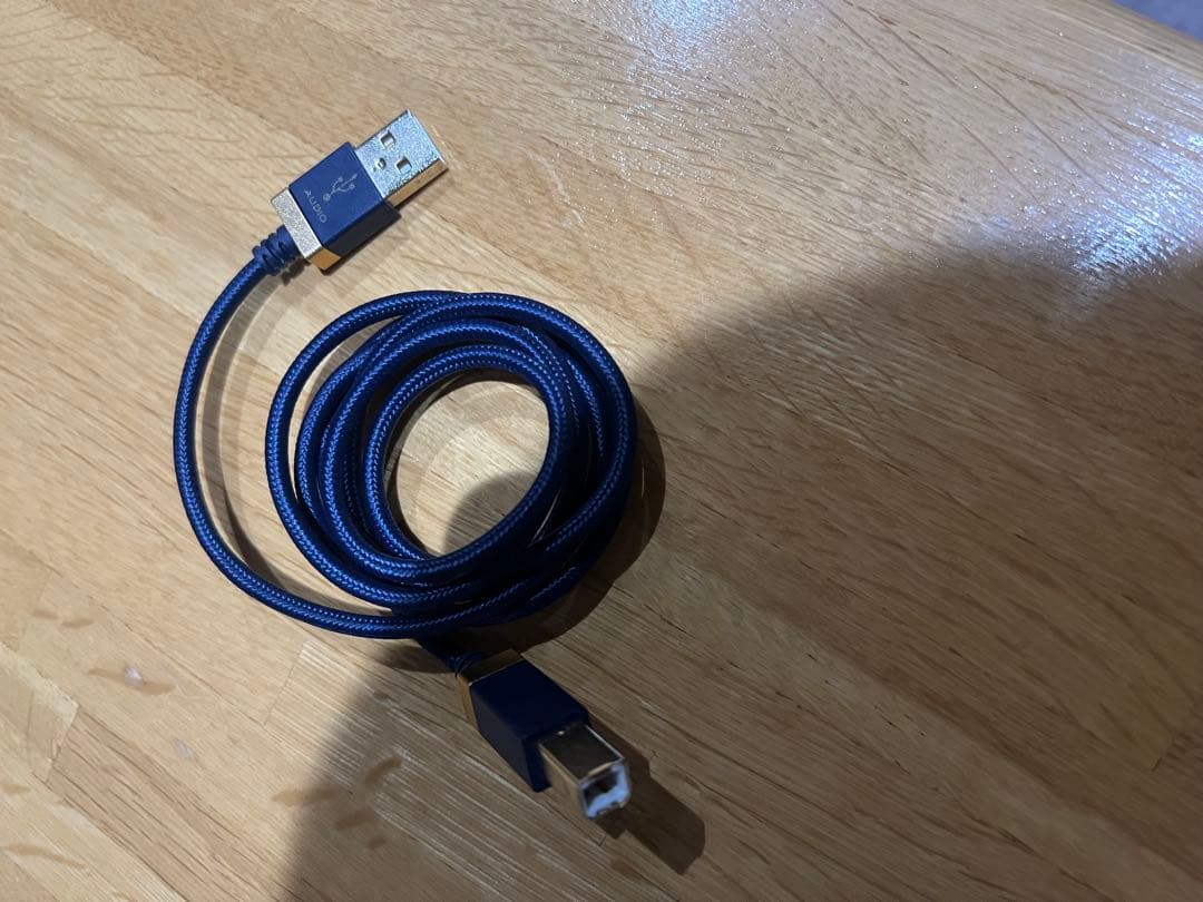 Roland VT-4 おまけ付き