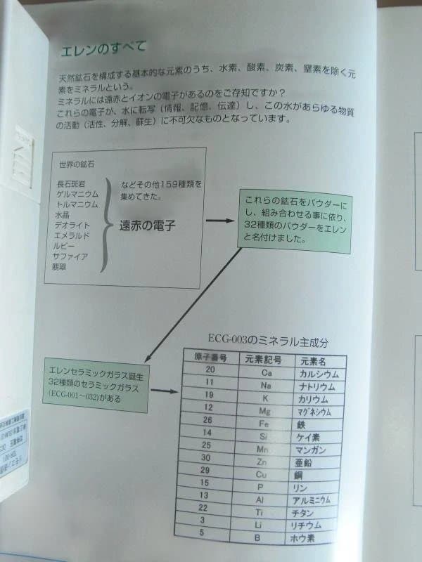エレン関連の唯一の書籍　21世紀の生命の水・エレン酵生水 現在入手困難