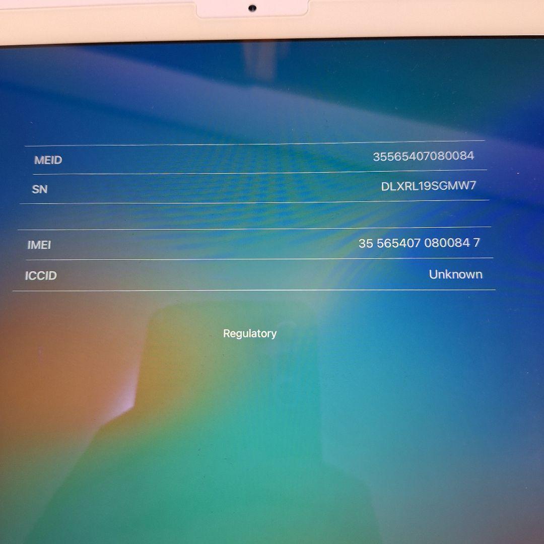 apple iPad pro 第1世代 本体 グリーンカバー付き