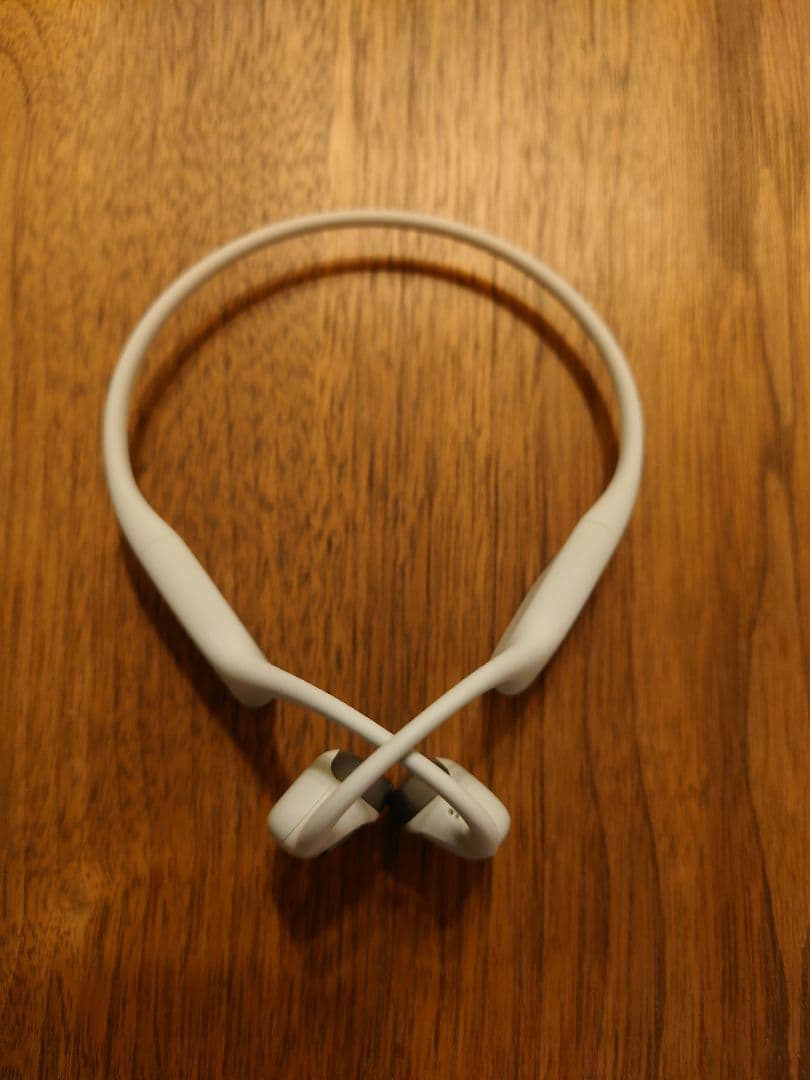 SHOKZ OPENRUN PRO 2 Mini 保証書付