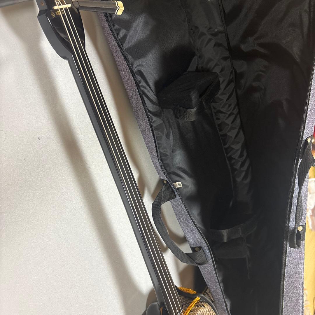 三線 本体 ヘビ柄 ケース付き