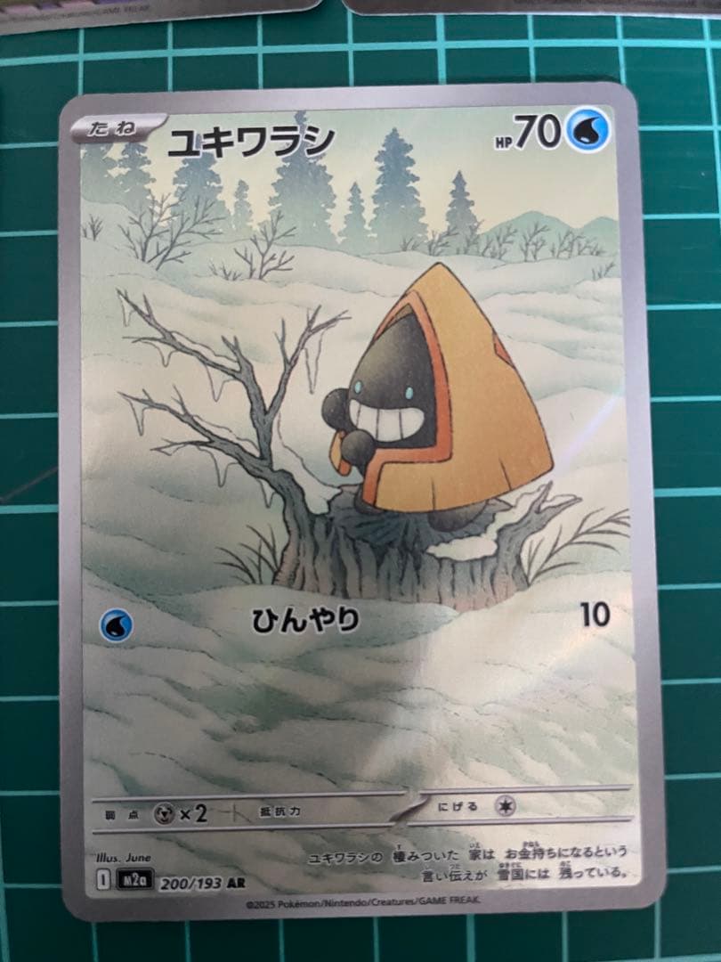 マリィのオーロンゲEX＆キチキギスEXセット