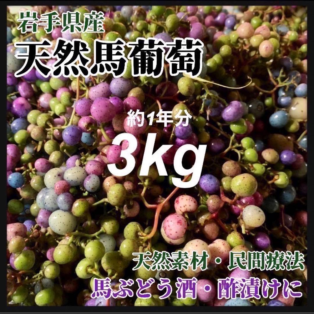 お買い得　馬ぶどう250g×12袋　1年分3kg うまぶどう　薬膳　民間療法