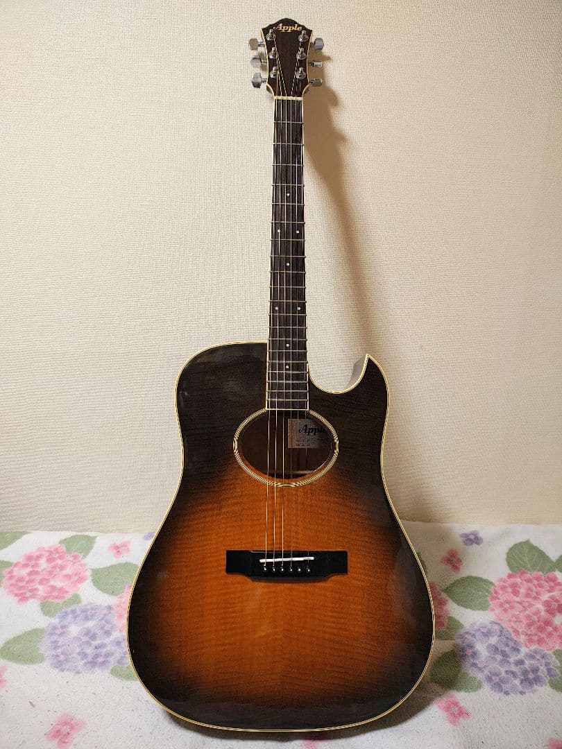 16日まで価格！日本製 極虎Apple ACW-4BS/エレアコ