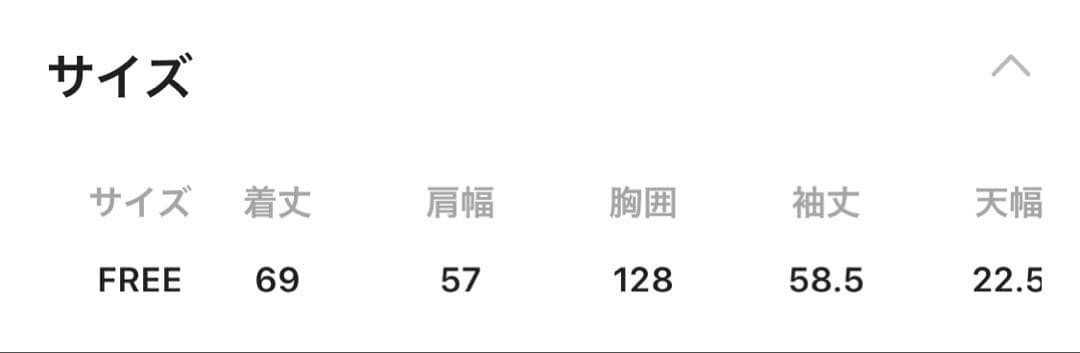 【Champion別注】リバースウィーブZIPパーカー　ジーナシス　新品未使用