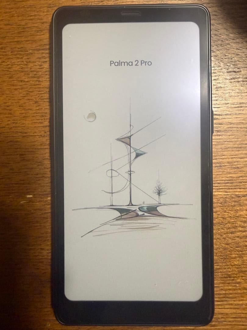 電子書籍リーダー本体 Boox Palma 2 Pro