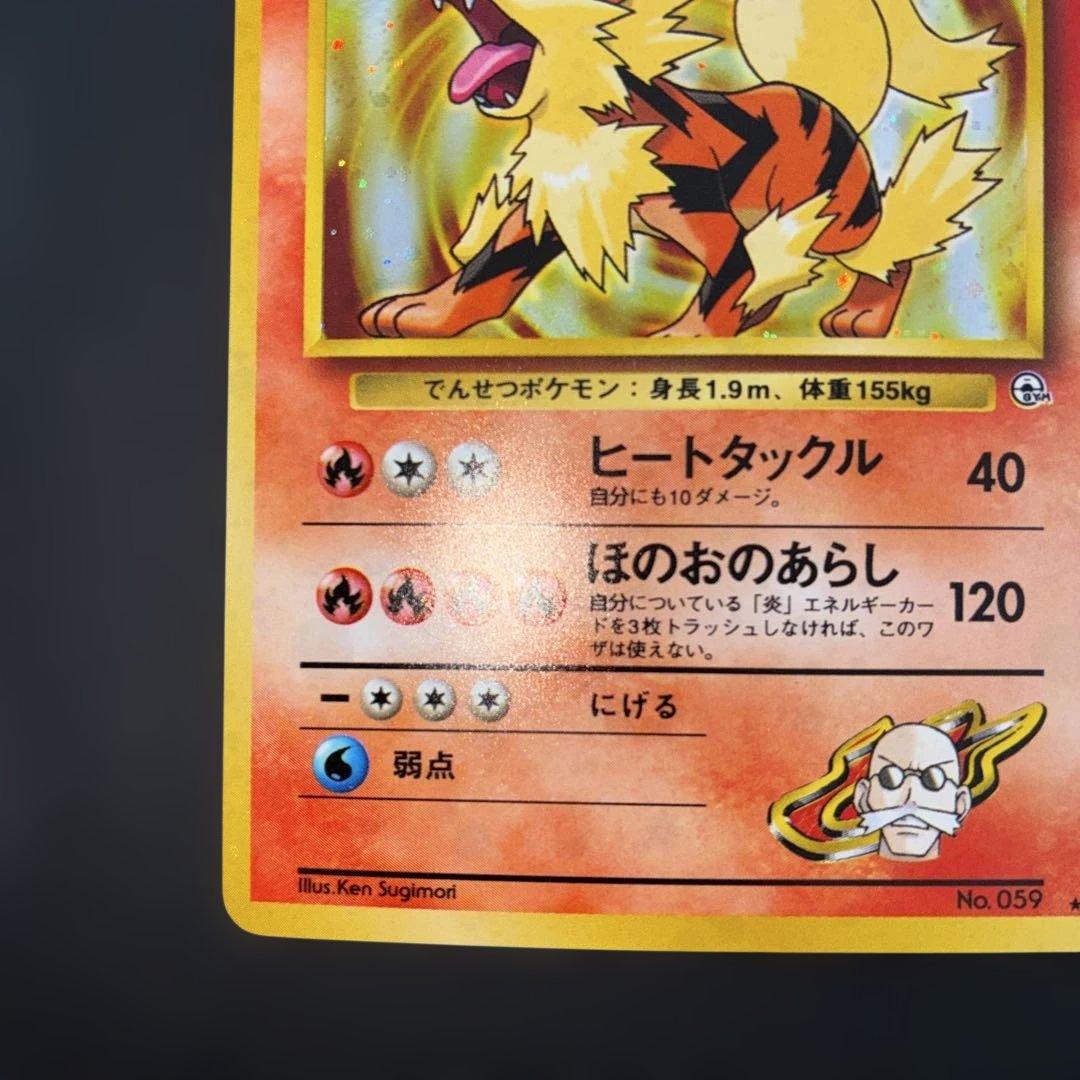 極美品　カツラのウィンディ　キラ　旧裏面