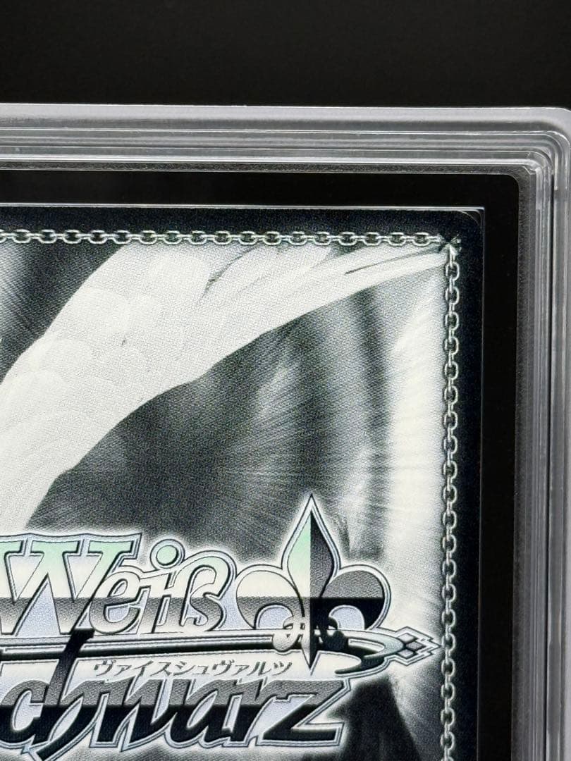 仲間を守る為の剣 エルザ SEC＋　ARS10＋　100年クエスト