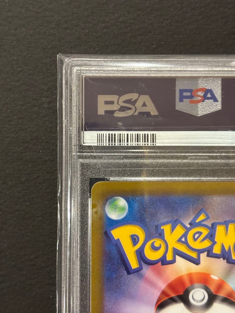 カイ SAR VSTARユニバース 236/172 PSA10